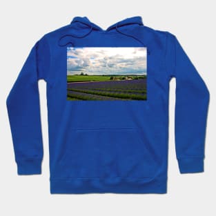 Lavender Field Purple Flowers Cotswolds UK Hoodie